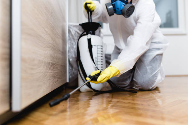 Best Bed Bug Extermination  in Port Oconnor, TX