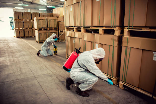 Best Mosquito Control Services  in Port Oconnor, TX