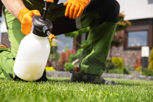 Flea Control Services in Port Oconnor, TX