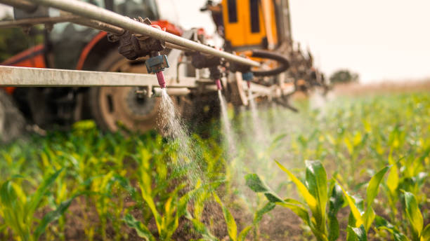 Best Ant Control Services  in Port Oconnor, TX