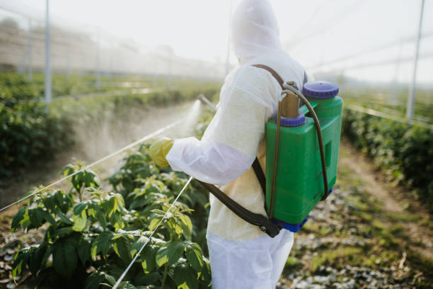 Pest Control for Restaurants in Port Oconnor, TX